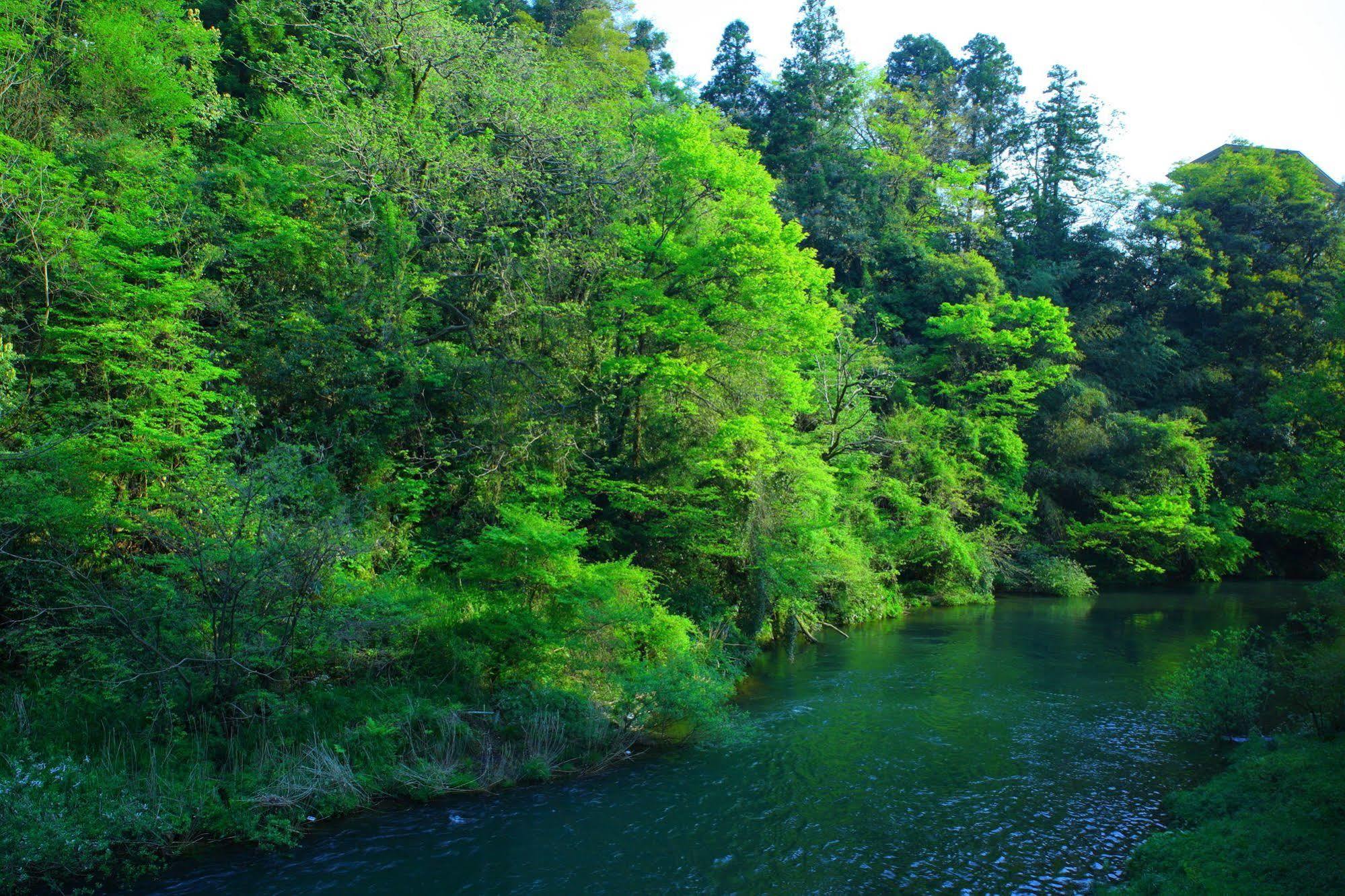 Yamanakaonsen Ohanami Kyubei Kaga  Εξωτερικό φωτογραφία